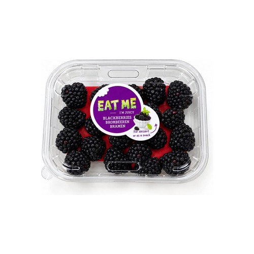 Blackberries 1 Pack