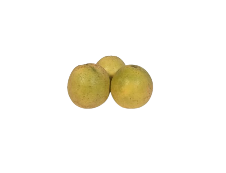 Local Grapefruit - White Half Dozen